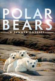 Polar Bears: A Summer Odyssey (2012) Free Movie
