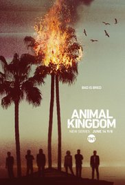 Animal Kingdom Free Tv Series