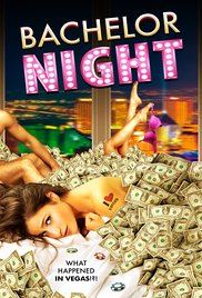 Bachelor Night (2014) Free Movie