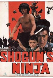 Ninja bugeicho momochi sandayu (1980) Free Movie