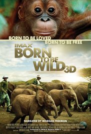 Born to Be Wild (2011) Free Movie