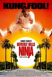Beverly Hills Ninja (1997) Free Movie M4ufree