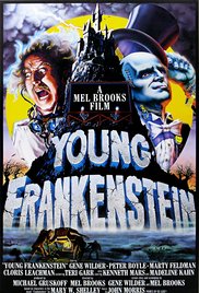 Young Frankenstein (1974) Free Movie