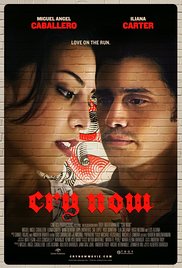 Cry Now (2016) Free Movie